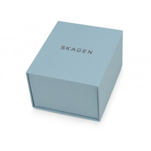 Часы наручные, мужские. Skagen