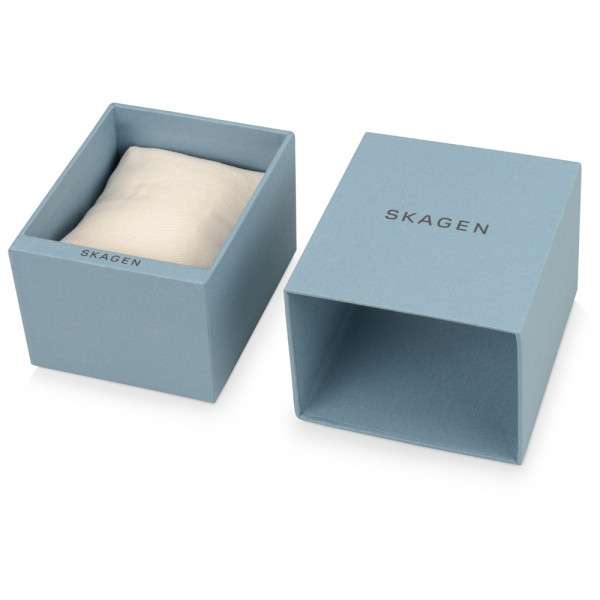 Часы наручные, женские. Skagen