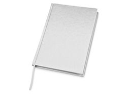 Ежедневник недатированный А5 "Probe AR", серебристый