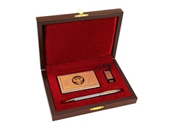 Набор "Государственная политика": визитница, ручка шариковая, флешка 16 Гб, золотистый/серебристый