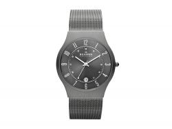 Часы наручные, мужские. Skagen